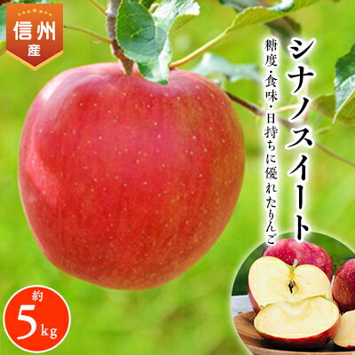 【ふるさと納税】2025年!信州のりんご【シナノスイート】約5kg_ りんご シナノスイート リンゴ しなのすいーと 長野県産 信州産 林檎 国産 甘い おいしい 果物 フルーツ くだもの ふるーつ 約5キロ デザート おやつ 産地直送 送料無料 【1041420】