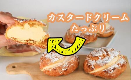 シュークリーム アーモンド 10個 カスタードクリーム 冷凍