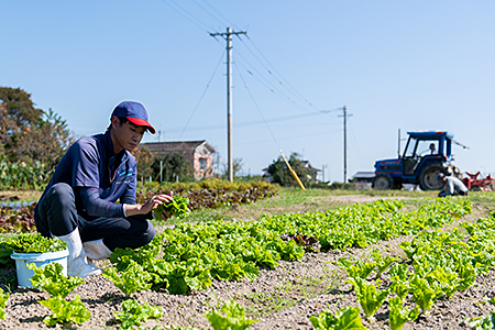 佐賀産季節の旬野菜10種類（農薬・化学肥料不使用）：B120-036