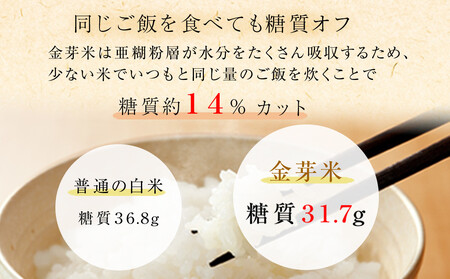 金芽米 ベストセレクト 10kg 5kg×2 【 BG無洗米 無洗米 東洋ライス お米 白米 精米 米 コメ 和歌山県 和歌山市】