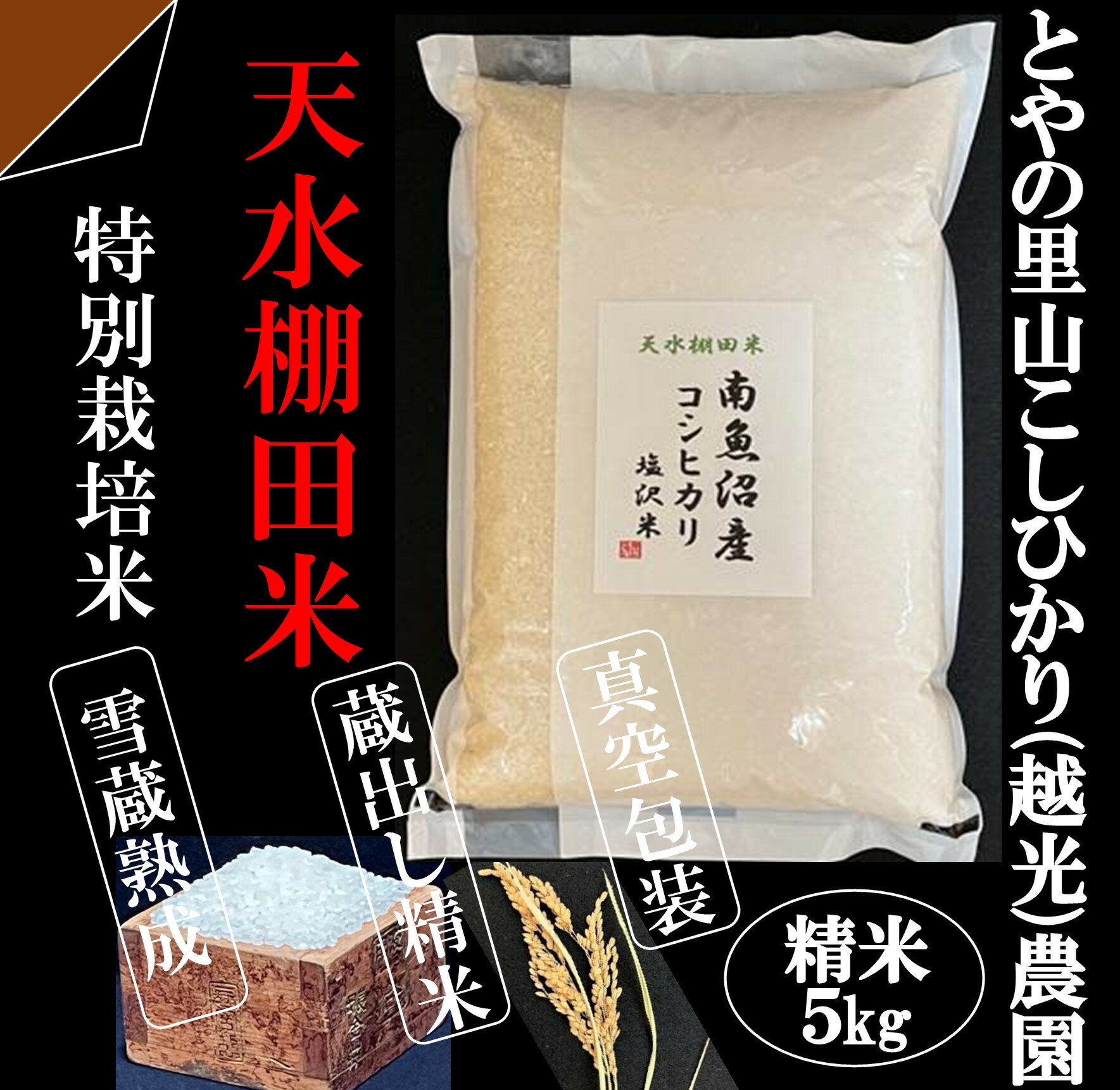 【ふるさと納税】「とやの里山継承プロジェクト対象」【天水棚田米】南魚沼塩沢産コシヒカリ　精米5kg全1回