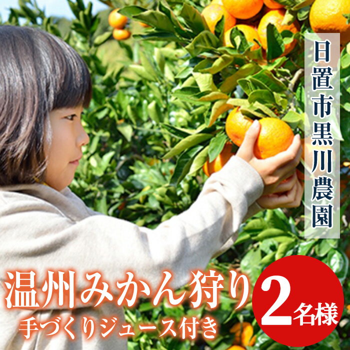 【ふるさと納税】＜先行予約受付中＞温州みかん狩り(2名分)＆人気のジュース付き(2本)！ 不知火 みかん狩り 体験 日置市 果物 果実 フルーツ 柑橘 みかん ミカン ジュース ミカンジュース 期間限定【黒川農園】