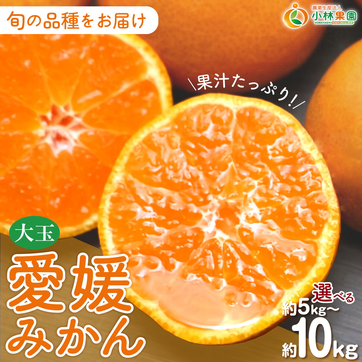 【ふるさと納税】【先行受付】小林果園の果汁たっぷり愛媛温州みかん　選べる容量 (約5kg/7.5kg/10kg・3L～Lサイズ)【C24-14】ふるさと納税 みかん ミカン 柑橘 柑橘類 フルーツ 果物 くだもの 人気 美味しい 選べる容量 5kg 7.5kg 10kg 愛媛県 八幡浜 YWTAD007