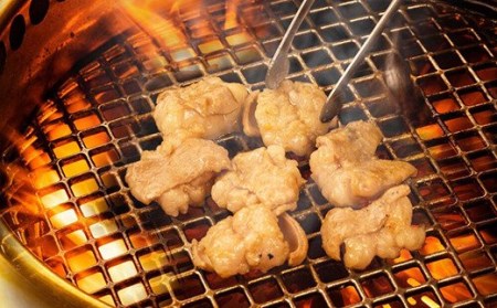 大人気焼肉屋さんのご家庭で簡単！モツ焼き肉セット1600g／Amu-04