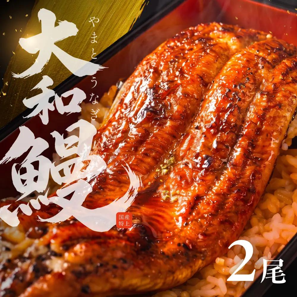 国産特上 大和鰻 2尾（約312g~366g） 国産鰻 選べる 鰻 うなぎ unagi ウナギ 蒲焼 長蒲焼 国産うなぎ 鰻蒲焼 上 特上 贈答 ギフト 豊橋うなぎ 土用の丑の日 カネナカ 冷凍 限定 うな重 うな丼 ひつまぶし 愛知県 豊橋市