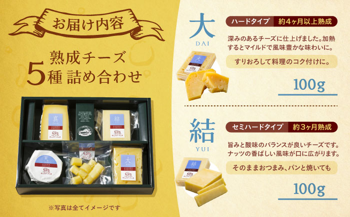 北海道 熟成チーズ 5種詰め合わせ《足寄町》【合同会社あしょろチーズ工房】 北海道産 十勝チーズ 食べくらべ 食べ比べ チーズ ハードタイプ セミハード ラクレット 白カビタイプ 熟成モッツァレラ 冷