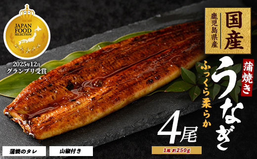 【鹿児島県産】うなぎ蒲焼じっくり焼き約250g×4尾 木目化粧箱入り(大新/IB021-003) 鰻 蒲焼 国産 丑の日 うな重 無頭 ギフト ふっくら 小分け レンジ 簡単