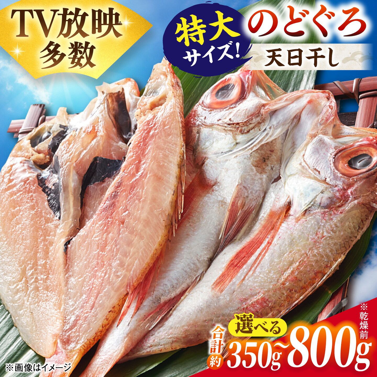 【ふるさと納税】【選べる容量】干物 TV放映多数！県内外のファンがわざわざ訪れる 天日ほしもん屋特製 のどぐろ干物350g~800g 島根県松江市/桝谷鮮魚店[ALCJ001]｜ のどぐろ ノドグロ アカムツ あかむつ 高級魚 干物 干もの 魚 魚介 お取り寄せ 島根 松江
