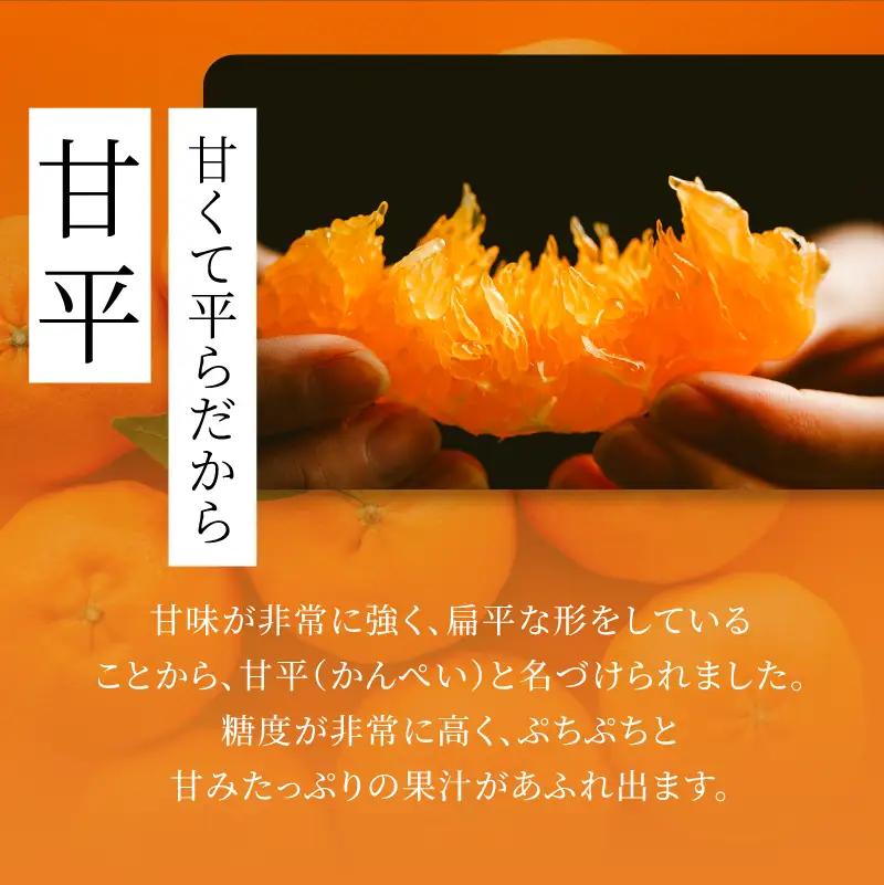 【数量限定】【先行予約】マルハ果樹園 甘平 4L～2L 8～12玉