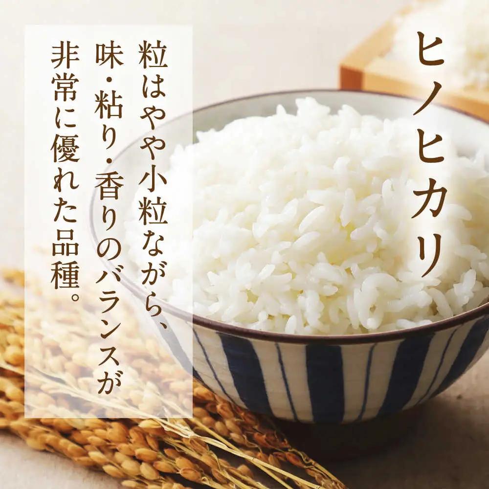  ヒノヒカリ 無洗米 6kg（1kg×6袋） 【株式会社 岩下農園】[ZFS007]