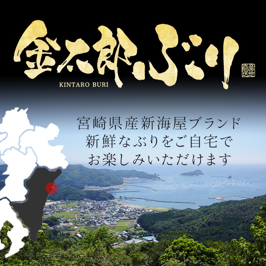 宮崎産 新海屋 鰤屋金太郎 金太郎ぶり 1500g　冷凍　N018-ZC111_2