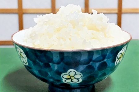 米 令和7年 無洗米 長野県産 コシヒカリ 10kg