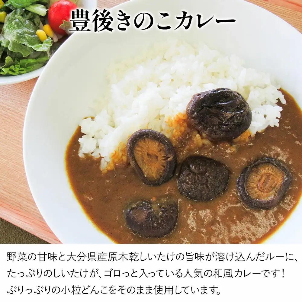 レトルトカレー 豊後きのこ レトルトカレー 9食 | 津久見市