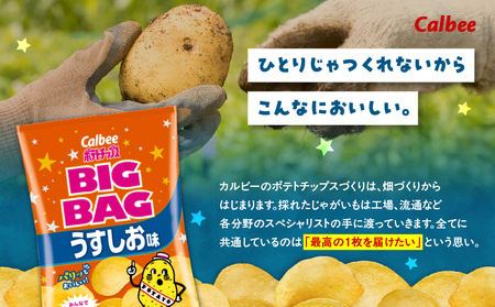 【 期間限定 特別価格 】 カルビー ポテトチップス BIGBAG 【 うすしお 】 12袋 K194-002_04 ポテチ チップス 菓子 お菓子 スナック スナック菓子 おやつ おかし じゃがいも