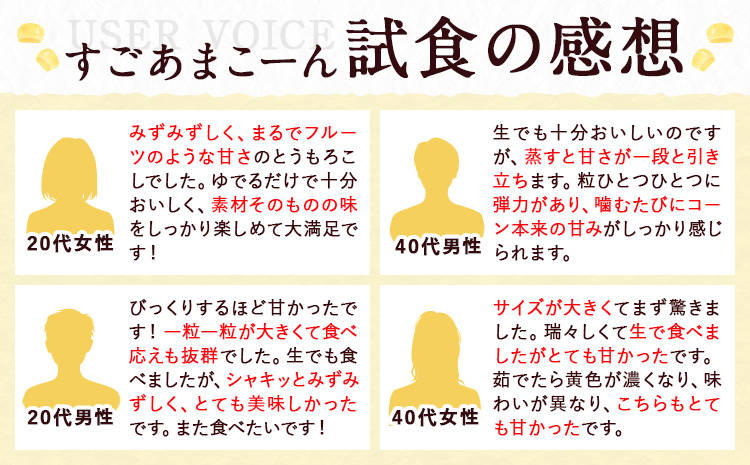 【先行予約】【着日指定不可】 すごあまこーん とうもろこし 極甘 スイートコーン ゴールドラッシュ 恵味 10本 《2026年7月中旬-8月上旬頃出荷予定》熊本県 産山村 野菜 夏野菜 コーン トウモ