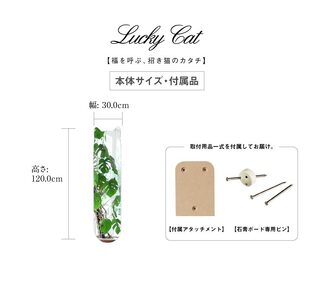 鏡 壁掛け  かがみのカタチBIGねこ 洗面鏡トイレ 洗面所 賃貸 玄関 貼れる 一人暮らし ノンフレーム 北欧 メイク 化粧 DIY シンプル 韓国 インテリア 変形 デザインミラー