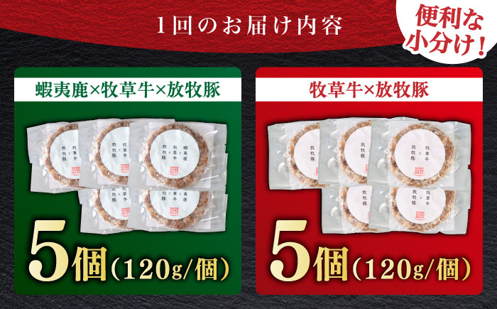 【全2回定期便】ハンバーグ 食べ比べ 10個セット（蝦夷鹿/牧草牛/放牧豚）《厚真町》【GOODGOOD株式会社】 ハンバーグ 鹿肉 牛肉 豚肉 セット 食べ比べ 小分け 冷凍配送 北海道 [AXBP