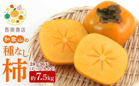 【2026年発送】和歌山の たねなし柿 秀品 約7.5Kg Ｌ～４Ｌサイズ カラーセンサー選果 （和歌山県九度山町産）