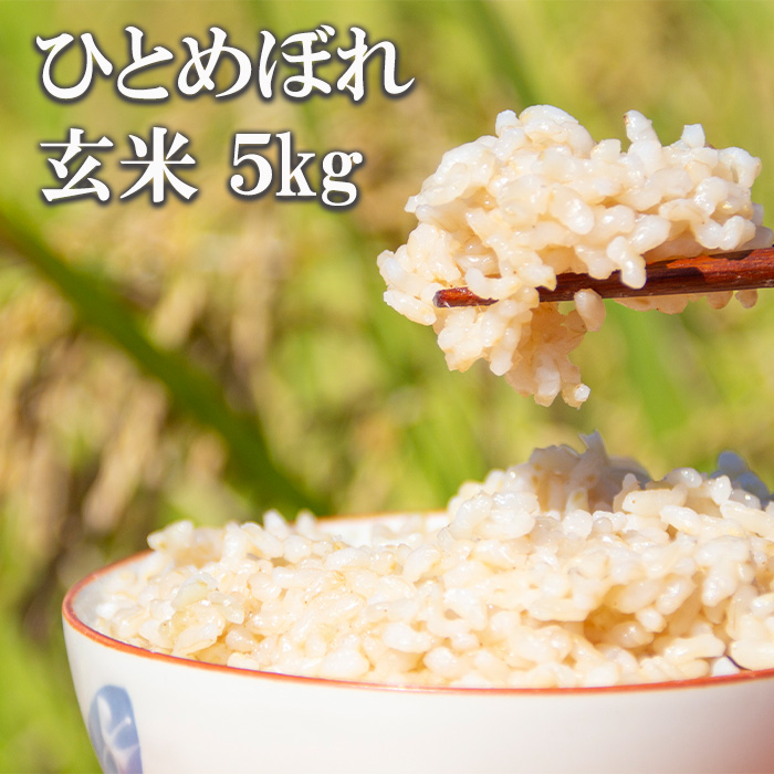 【令和7年産】 新米 10月中旬発送開始予定 ひとめぼれ 玄米 5kg ／ かきのうえ こめ 米 コメ お米 おこめ ご飯 ごはん げんまい