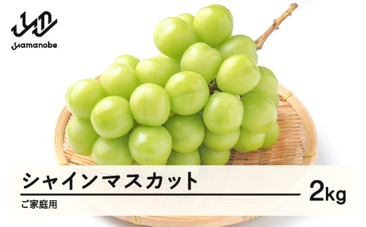 
                  《先行予約》2026年 山形県産 シャインマスカット 葡萄 ご家庭用 2kg  ※沖縄・離島への配送不可 ts-busxk2000
                