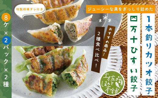 26-013．家(うち)に来る“高知” ジューシーな具をぎっしり詰めた手づくり!!　四万十ひすい餃子・一本釣りかつお餃子（8ヶ×2パック×2種）　タレ付き　にんにく不使用！