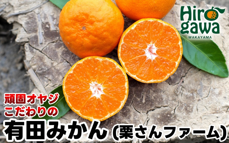 
            頑固オヤジの 有田 みかん 3kg 贈答用 / 温州みかん 有田みかん 甘い 贈答 和歌山 柑橘 ※11月中旬～1月上旬に順次発送【krf004-p-3A】
          