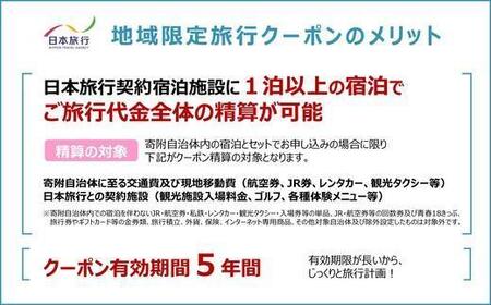 沖縄県石垣市 日本旅行 地域限定旅行クーポン 90,000円分（Eメール発行） 【 日本旅行 トラベルクーポン 納税チケット 旅行 宿泊券 ホテル 観光 旅行 旅行券 交通費 体験 宿泊 夏休み 冬休