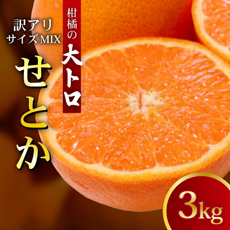 【ふるさと納税】 先行予約 訳あり せとか 3kg サイズ MIX フルーツアイランド・マルエム直販の愛南産 せとか 約3kg 柑橘 フルーツ 果物 蜜柑 みかん くだもの フルーツアイランド マルエム直販 愛媛県 愛南町