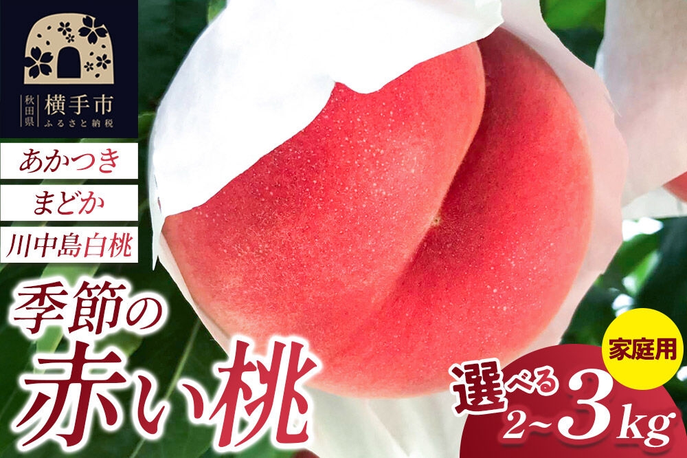 
                  季節の赤い桃（あかつき、まどか、川中島白桃）家庭用【選べる容量 約2kg／約3kg】 喜三郎農園 [秋田県 横手市 桃 もも モモ 果物 フルーツ 家庭用]
                