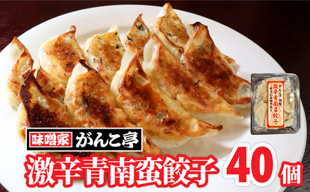 激辛青南蛮餃子 40個 たれ付 岩手県 北上市 （がんこ亭）D0366