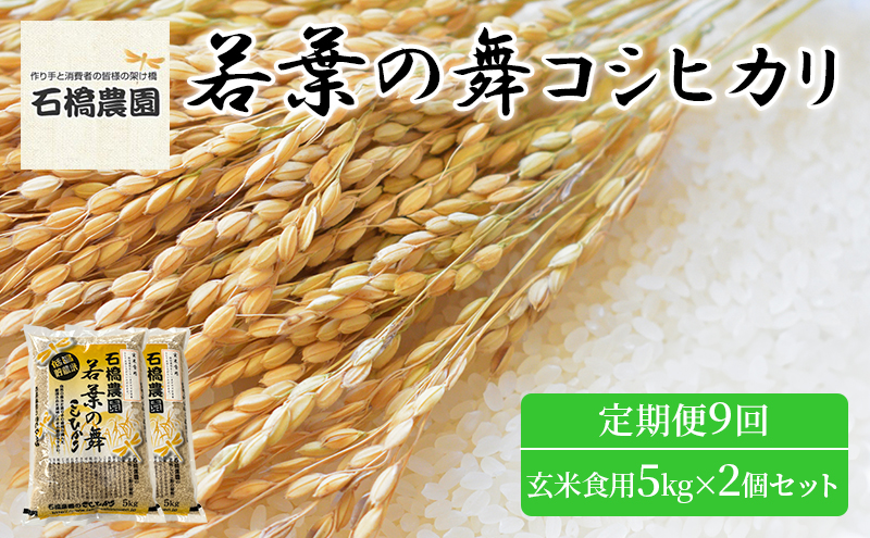 米 若葉の舞 コシヒカリ 玄米食用5Kg×2個セット 定期便9回 こしひかり セット お米 玄米 千葉 千葉県 低温保存