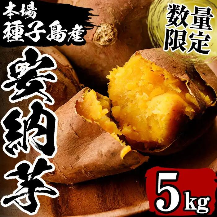 安納芋 5kg さつまいも 【永濱農園】n176