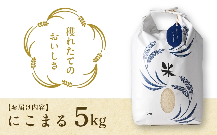 お米 精米 白米 ご飯 ごはん 特別栽培米 愛知県産 米 5kg 5キロ 愛西市