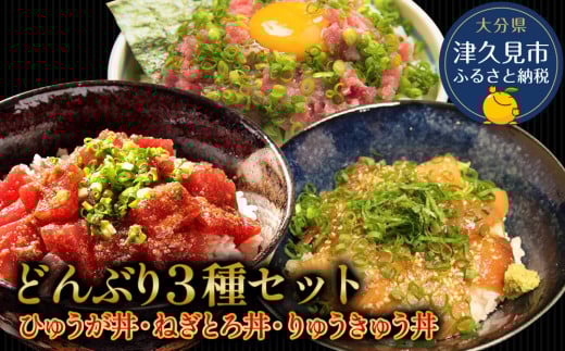 どんぶり3種セット ぶりのりゅうきゅう丼・まぐろの漬け丼（ひゅうが丼）・まぐろのたたき（ねぎとろ）セット ねぎとろ 鮪丼 まぐろ 大分県産 九州産 津久見市 熨斗対応
