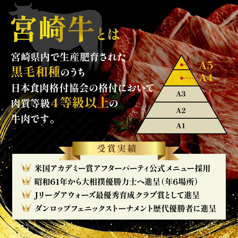宮崎牛切り落とし1kg N0140-YA5507