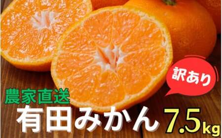 ▼【訳あり】農家直送 有田みかん 約7.5kg ご家庭用 サイズ混合 ※11月中旬から1月中旬までに順次発送予定 ※北海道・沖縄・離島への配送不可 【nuk004-noka-c7d5B】