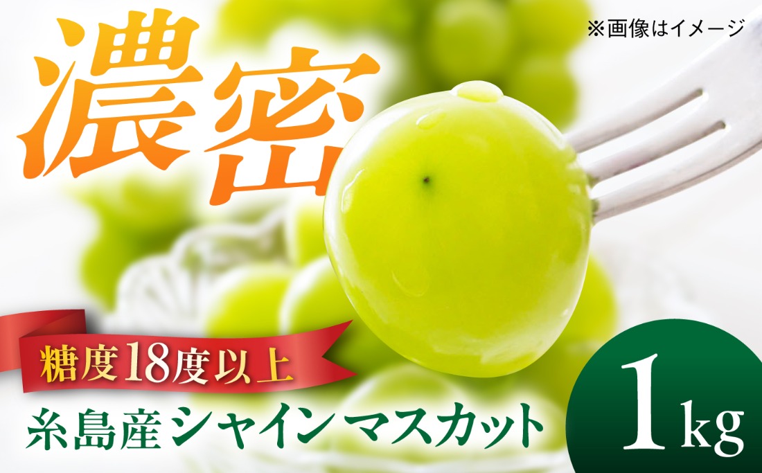 【糖度18度以上】 糸島産 シャインマスカット 1kg（2〜4房） 糸島市 / 和饗エコファーム フルーツ 果物[AVI006] シャインマスカット マスカット ぶどう ブドウ フルーツ 果物 甘い 高糖度