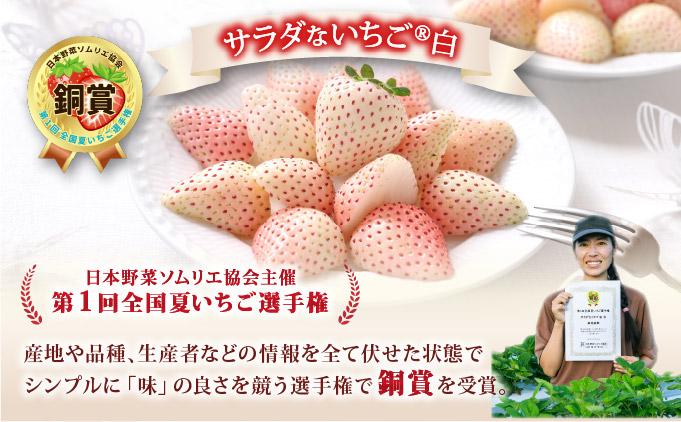 ＜2026年先行予約＞ サラダないちご（赤・白）【ecg-003】