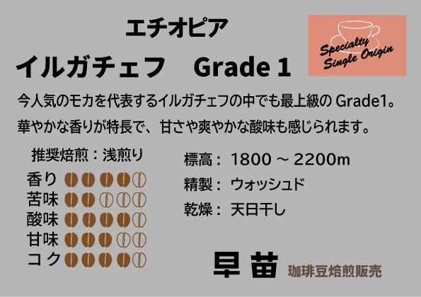 【早苗】焙煎珈琲豆（さわやかな酸味を楽しむセット　3種×各100g）粉