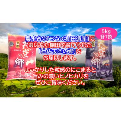 ふるさと納税 本山町 ★令和7年産★　本山町の棚田で育てられた「土佐天空の郷」5kg食べ比べセット |  | 02
