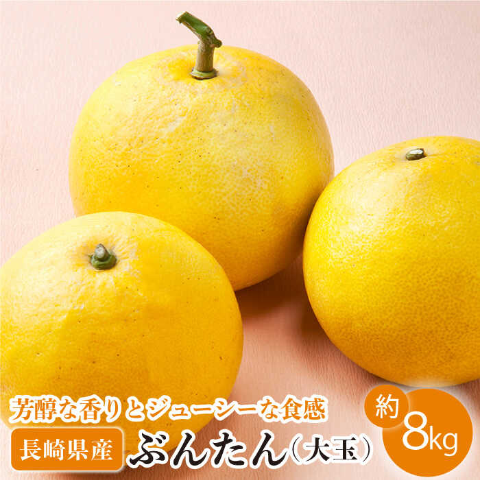 【ふるさと納税】【先行予約】ぶんたん 大玉 約8kg【長崎ぶんたんの会】[OAF001] / 文旦 ブンタン 贈り物 ギフト フルーツ 果物 甘い くだもの 長崎県産 柑橘 デザート みかん かんきつ さっぱり 爽やか ジューシー サラダ 産地直送 お取り寄せ グルメ 家庭用 贈答 数量限定