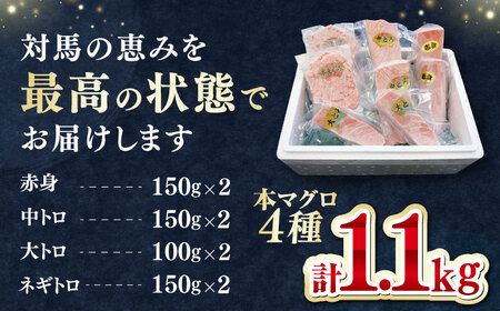 対馬産 本マグロ 4種 計1.1kg（赤身/中トロ/大トロ/ネギトロ）《対馬市》【対海】 冷凍配送 食べ比べ 新鮮 手巻き寿司 海鮮丼 贈り物[WAH028]
