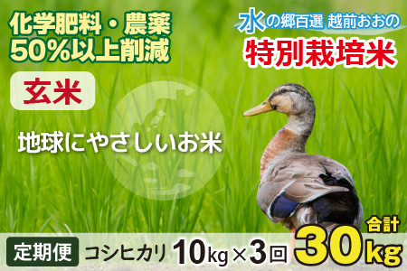 【令和7年産 新米】【3ヶ月定期便】こしひかり 10kg × 3回 計 30kg【玄米】　減農薬・減化学肥料 「特別栽培米」－地球にやさしいお米－[D-003007]
