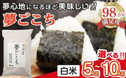 
                  令和7年産 近江米 夢ごこち 白米 5kg / 10kg 選べる 国産 滋賀県産 白米 とらわか 【TSKU2】
                