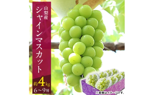 山梨市 沢山食べられるシャインマスカット(約4kg)6～9房入り【1484819】