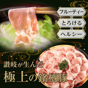 豚肉 オリーブ豚 ローススライス 600g（600g×1）【化粧箱入り】【配送不可：離島】