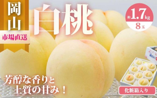 
                  桃 2027年 岡山 白桃 8玉（合計1.7kg以上）化粧箱入り もも モモ 岡山県産 国産 フルーツ 果物 ギフト
                