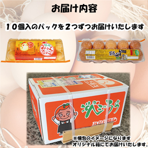 みかんたまご と 純卵-じゅんたまご 2種の卵食べ比べセット 計40個(10個×4パック) ※割れ保証5個 (卵 たまご タマゴ 玉子 卵料理 卵かけごはん TKG エッグ egg 松山 愛媛県 )