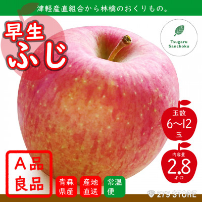 
                  10月初旬頃発送 早生ふじ A品 3キロ箱 2.8kg 6～12玉 津軽りんご 産地直送【1290119】
                