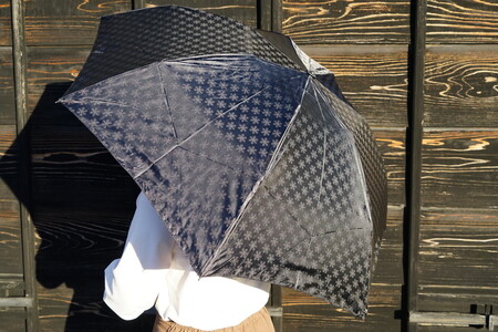 雪華模様の折り畳み傘（サイズ60cm）カラー：ブラック _BL15